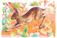 Jack Rabbit by Jeff Crosby