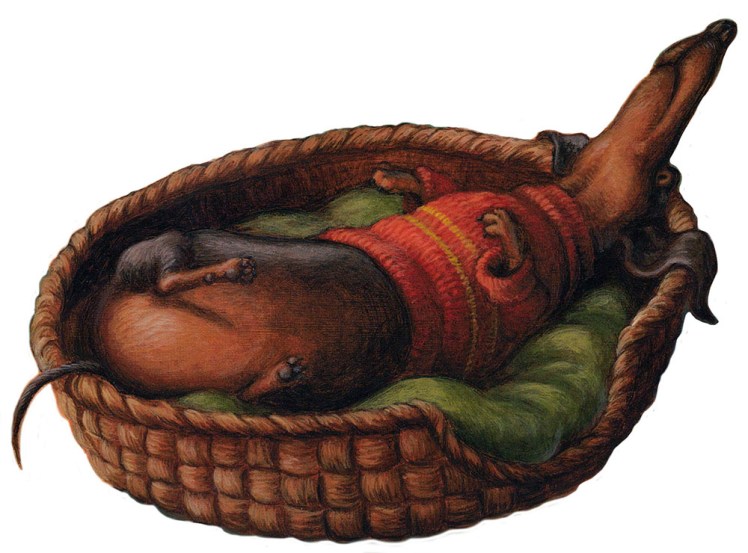 Wiener Wolf written and illustrated by Jeff Crosby for Disney Hyperion