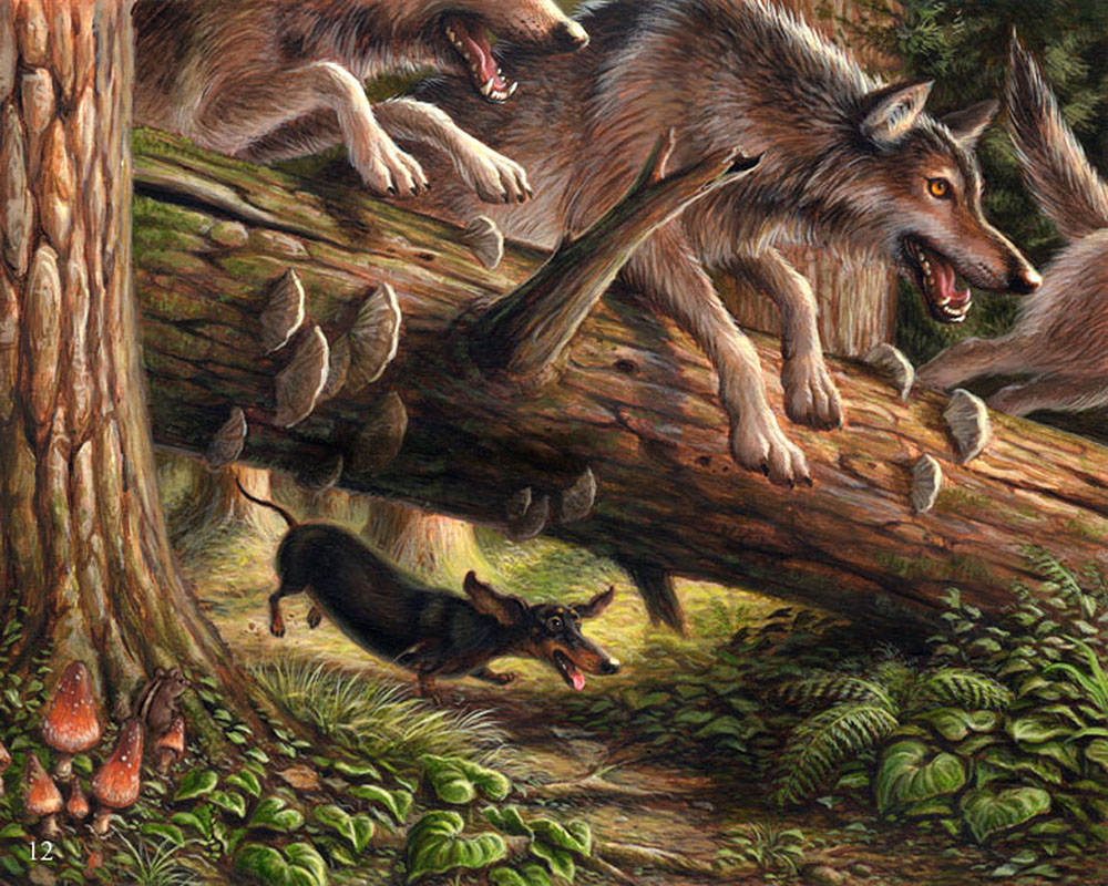 Wiener Wolf written and illustrated by Jeff Crosby for Disney Hyperion