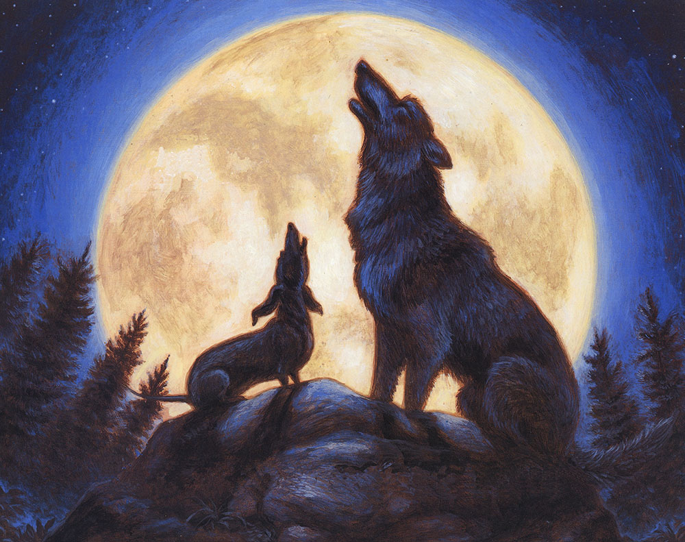Wiener Wolf written and illustrated by Jeff Crosby for Disney Hyperion
